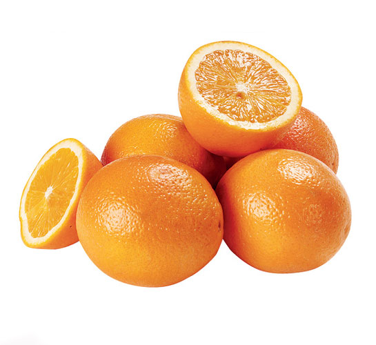 نهال پرتقال یافایی